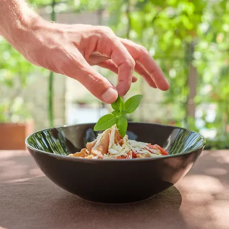 Podere San Pasquale - La Vigna *