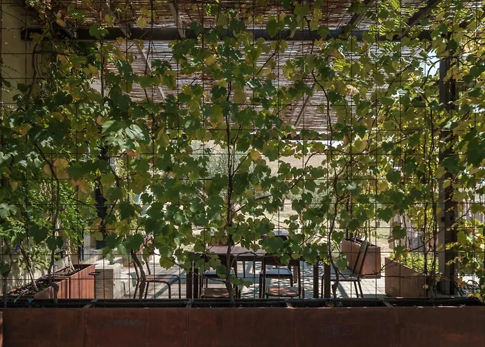 Podere San Pasquale - La Vigna 公寓