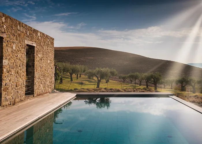 公寓 Podere San Pasquale - La Vigna