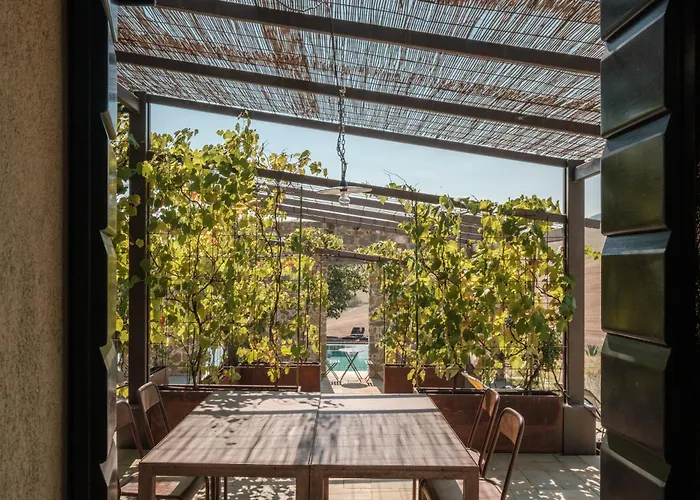 Podere San Pasquale - La Vigna